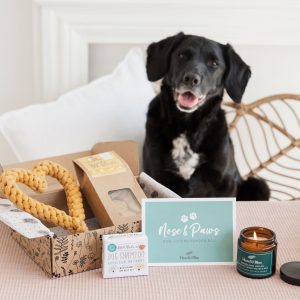 dog lovers treat box for dog owners birthday box treat for dogs uk pamper gift box